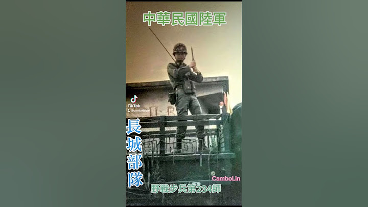 中華民國陸軍野戰步兵第234師（長城部隊） - 天天要聞