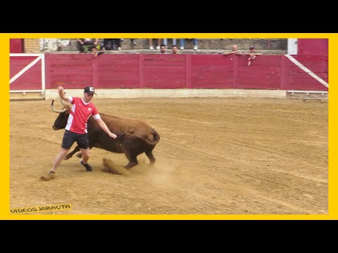 CERVERA DEL RIO ALHAMA ( LA RIOJA ) TARDE VACAS PLAZA ( VIERNES 9 JUNIO 2023 ) GANAD.MERINO