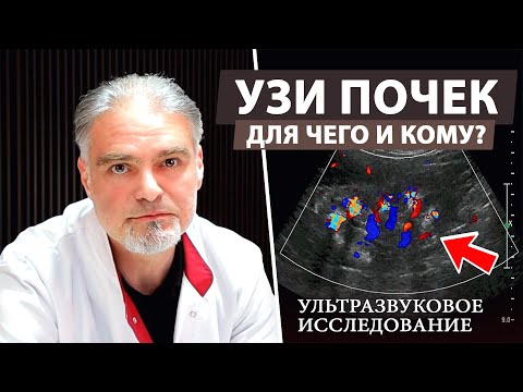 Зачем делать УЗИ почек и кому это необходимо?