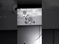 Baby bot angry 😡