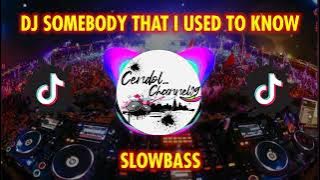 DJ SOMEBODY THAT I USED KNOW VIRAL❗❗