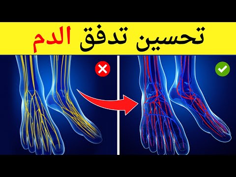فيديو: 4 طرق لتحسين الدورة الدموية في الساق