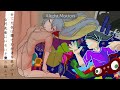 初音ミク 眠い眠い眠い オリジナル FAN PV 初音ミク 眠い眠い眠い オリジナル FAN PV