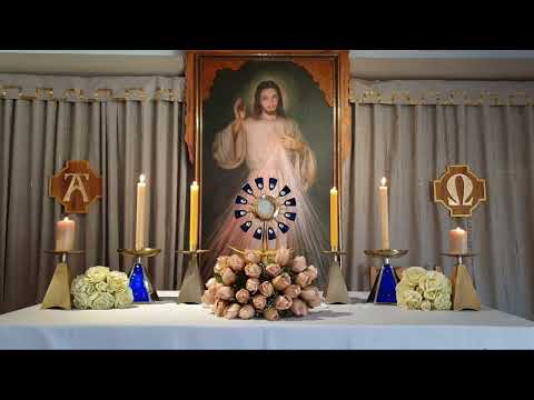 15 de Julio. Hora de la Misericordia EN VIVO