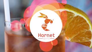 Hornet Spritz screenshot 3