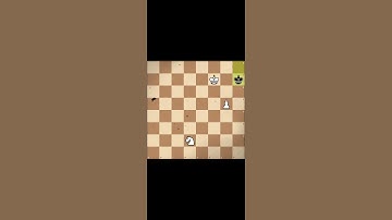 Infinite Chess Loop😉 #shorts #chess #edit #loop #looping #knight #chessknight