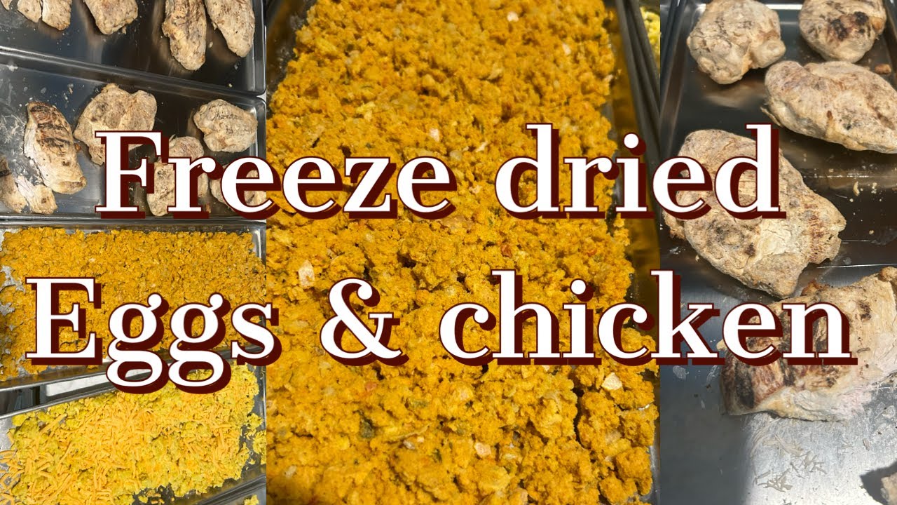 how-to-freeze-dry-scrambled-eggs-precooked-chicken-youtube