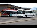 Buses in Calgary, AB (Volume Three)