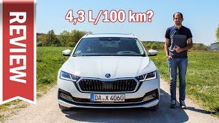 Skoda Octavia 2020: 2.0 TDI Evo im ersten Verbrauchs-Test über 300 km (+ Vergleich Passat & Golf)