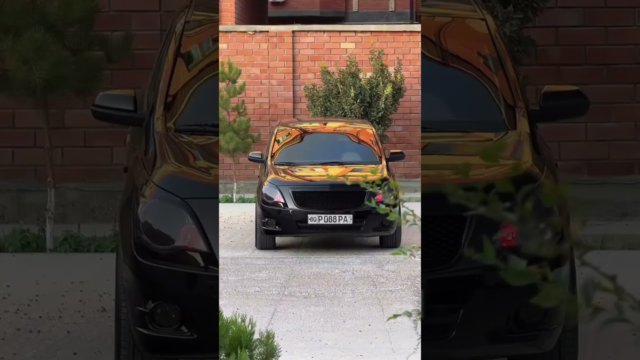 Shaharni ZO'Ri Kobalt 