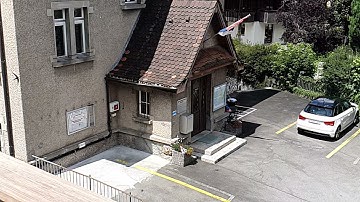 Mauersegler / Common Swift / Rondone / Martinet noir Slow Motion 4