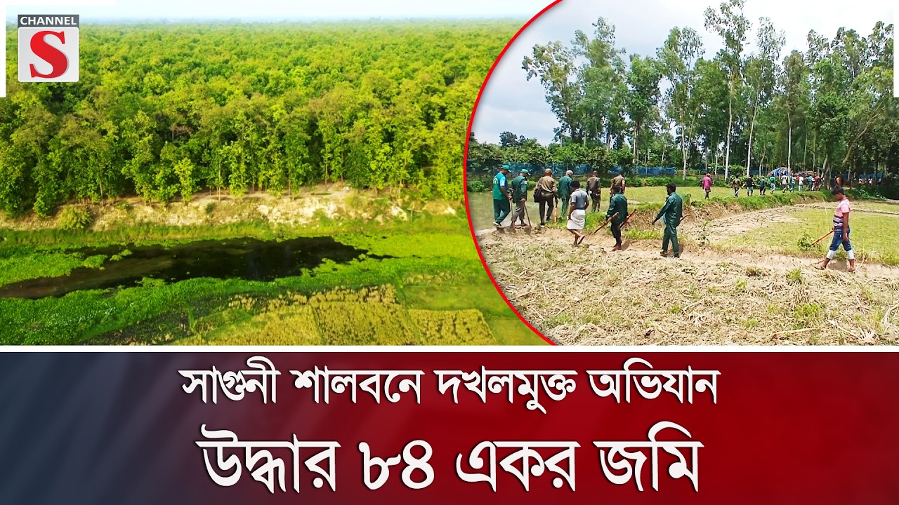 সাগুনী শালবনে দখলমুক্ত অভিযান, উদ্ধার ৮৪ একর জমি | Channel S News
