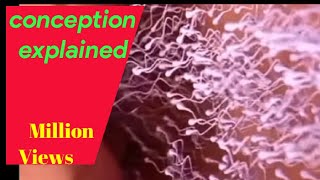 conception explained 3d shortsfertilizationpregnancyfusiondance