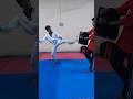 taekwondo kicks 🤯#shorts