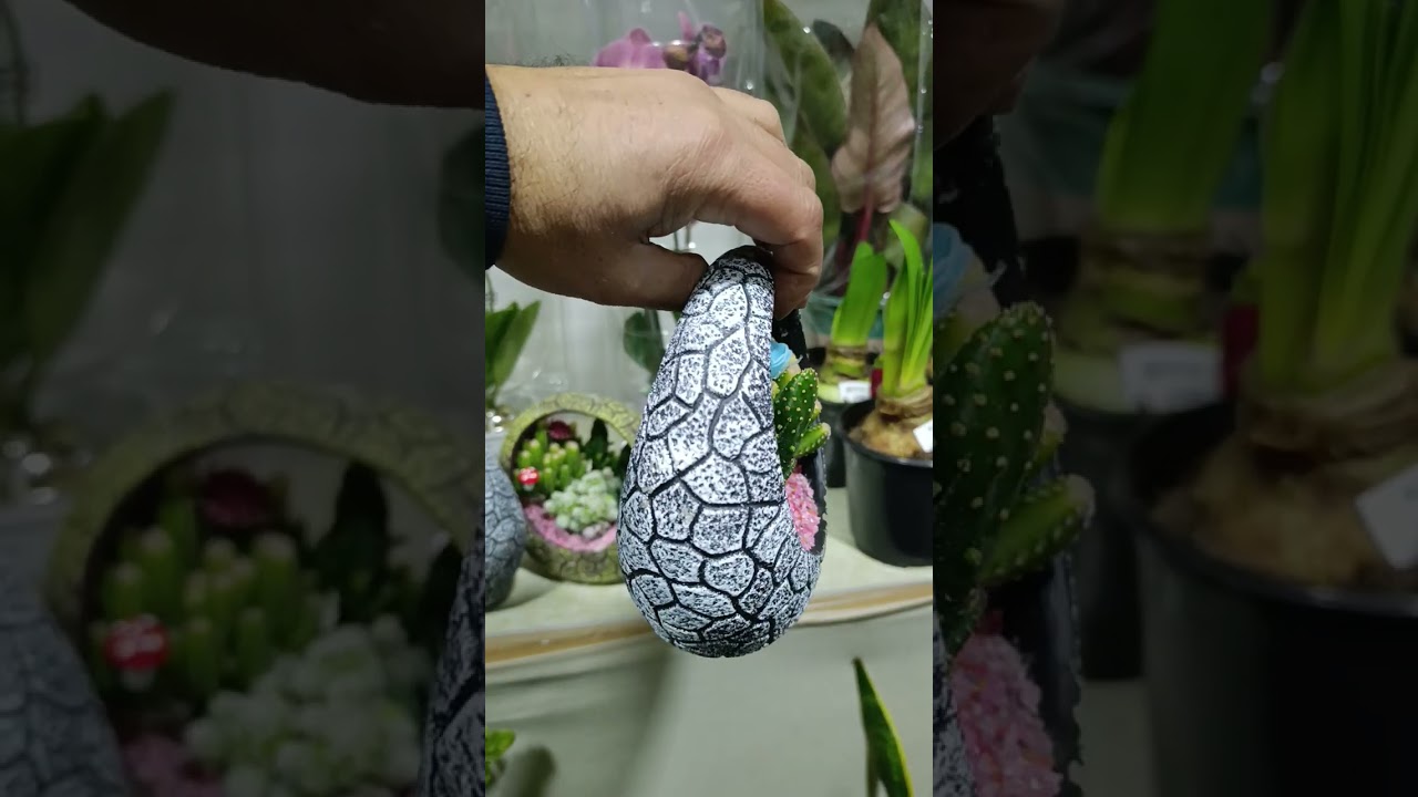 30 января 2026 г.