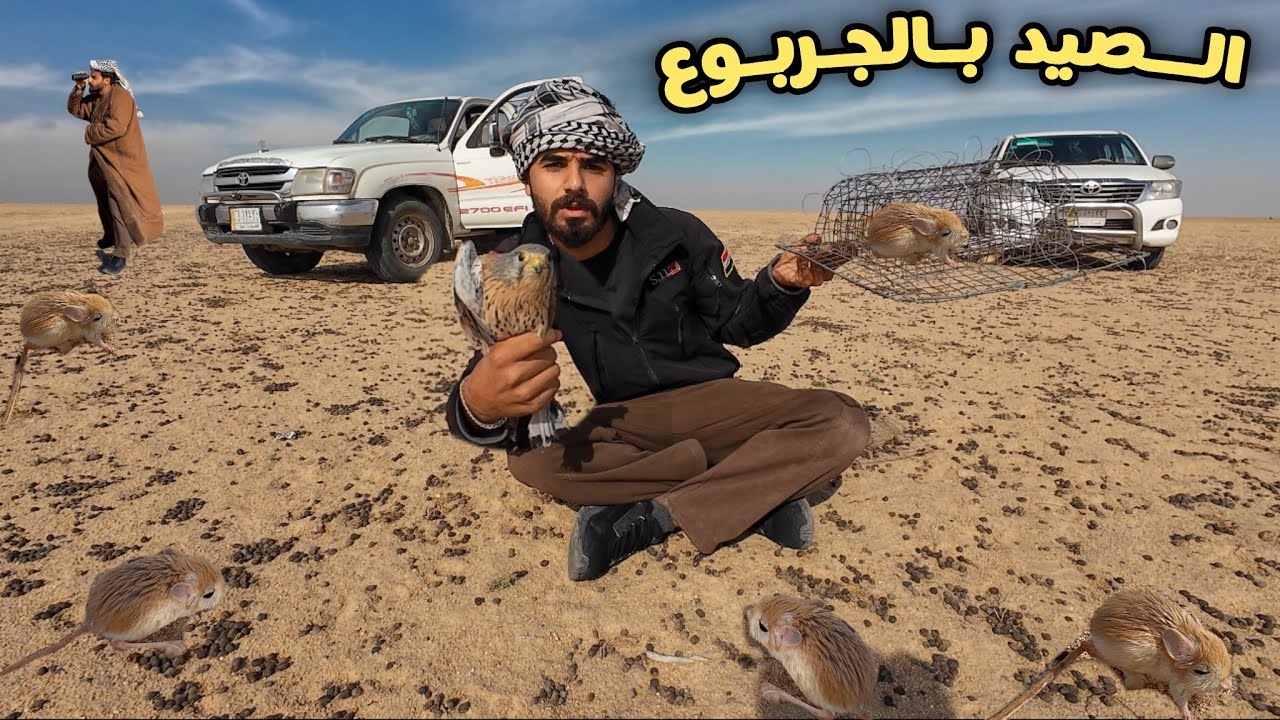 رحلة صيد الصقور بالعراق 🇮🇶 أسرار وخفايا Falcon hunting
