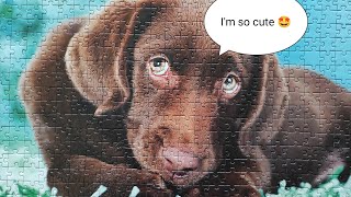 So Cute 🥰 Puppy Jigsaw Puzzle Time Lapse #puppy screenshot 5