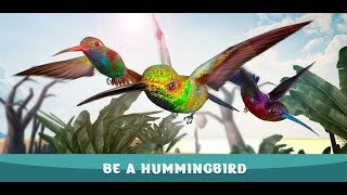 Humming Bird Simulator - Tiny Bird Adventure Gameplay Video Android/iOS screenshot 4