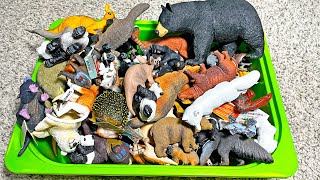 90 Wild Animals, Farm Animals and Zoo Animals Collection