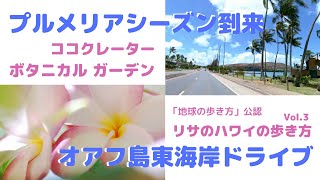 ハワイの花シーズンを楽しむ ココクレーターボタニカルガーデン 「リサのハワイの歩き方」Vol.3