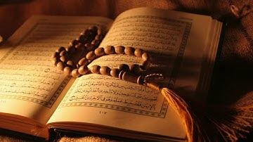 سورة الفلق للشيخ أبو بكر الشاطري