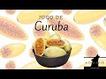 Jugo de CURUBA en menos de 3 MINUTOS