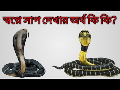 স্বপ্নে সাপ দেখার অর্থ | স্বপ্নে সাপ দেখলে কি হয়? Sopne Sap Dekhle ki hoy?