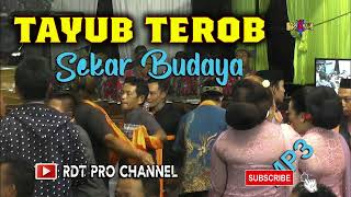 TAYUB TEROB SEKAR BUDAYA || MP3 ||