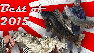 best of 2015 : Nos meilleurs moment de peche ( brochet, perche, sandre )