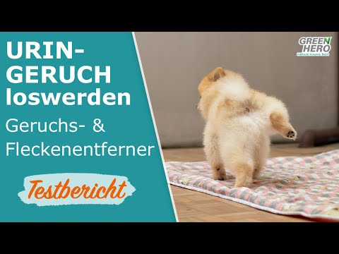 Video: Wie man Hundeuringerüche ohne aggressive Chemikalien loswird