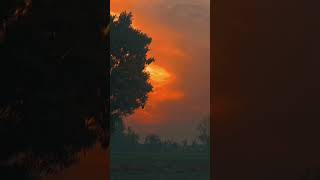 ​Safar aur suhana manzar. 🌅#sunset #nature #peace #villagevibes #aesthetic #reelsindia #skyporn