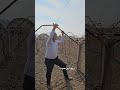 اگر اینکارو نکنی باغ داربستی با پاچراغی تفاوتی ندارد 