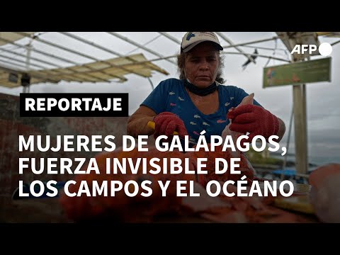 Las mujeres de Galápagos, fuerza invisible de los campos y el océano | AFP
