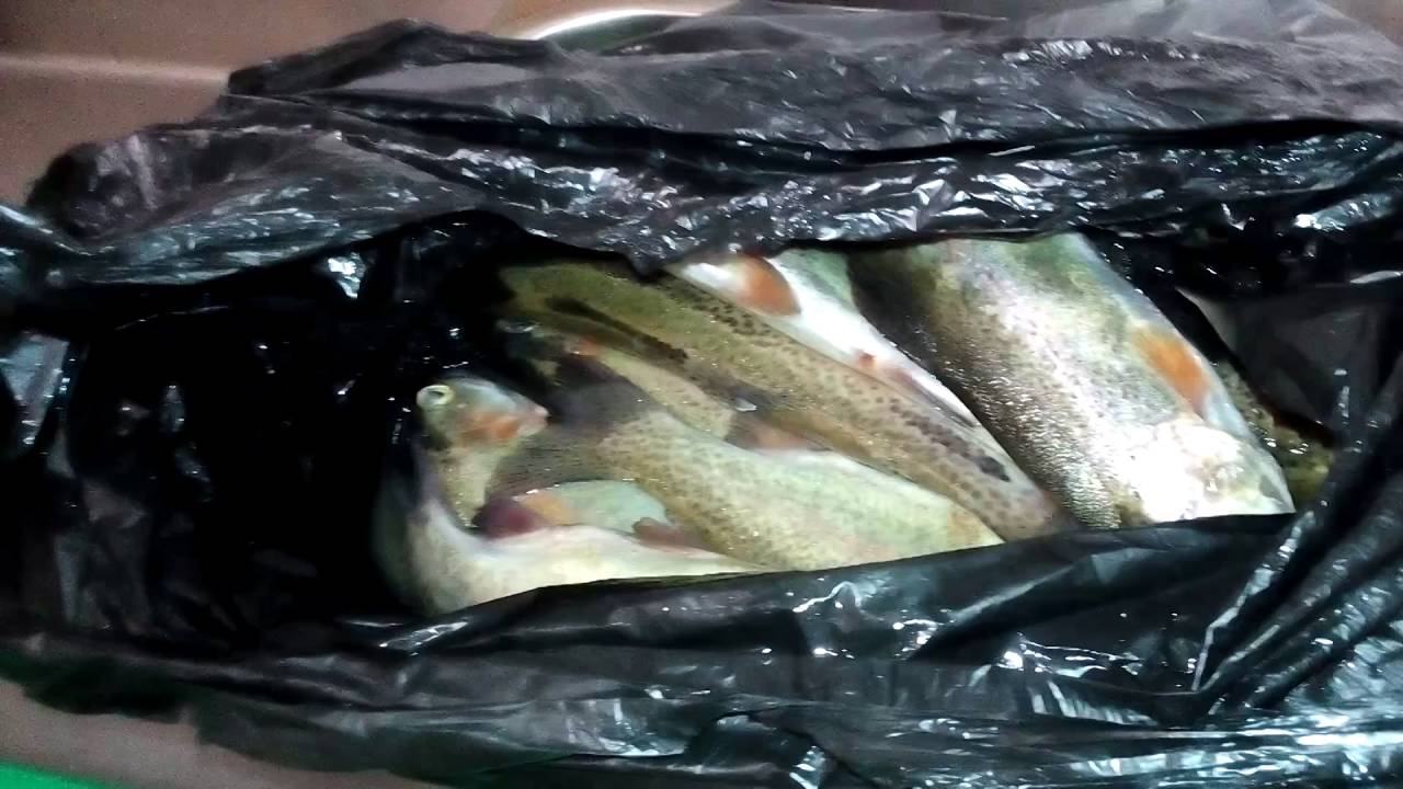Трахнул чешку в машине