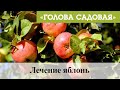 Голова садовая - Лечение яблонь