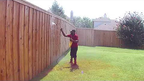 Does cedar fence need to be sealed? (2023)