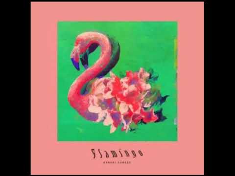 flamingoを歌ってみた