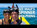 Snorkeling on the Lanai, Hawaii Coast | spinner dolphins, sea turtles, and an epic day out in Hawaii