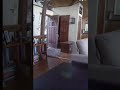Bear Braking the door to get into House