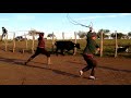Videos de Pialadas y Monta de Terneros 🤠🐂   CamperoTv Canal Campo Rural TvAgro