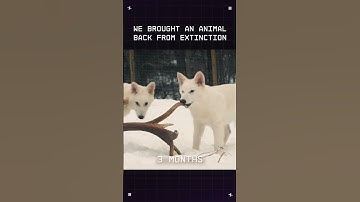 We’re Colossal Biosciences, the de-extinction company bringing back the dire wolf from extinction.