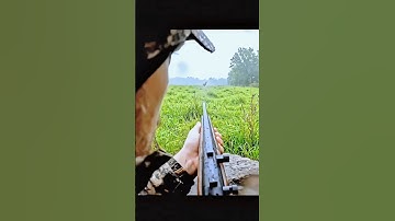 deer hunting in rainy season #deerhunting #caccia #hunting #deer #moose