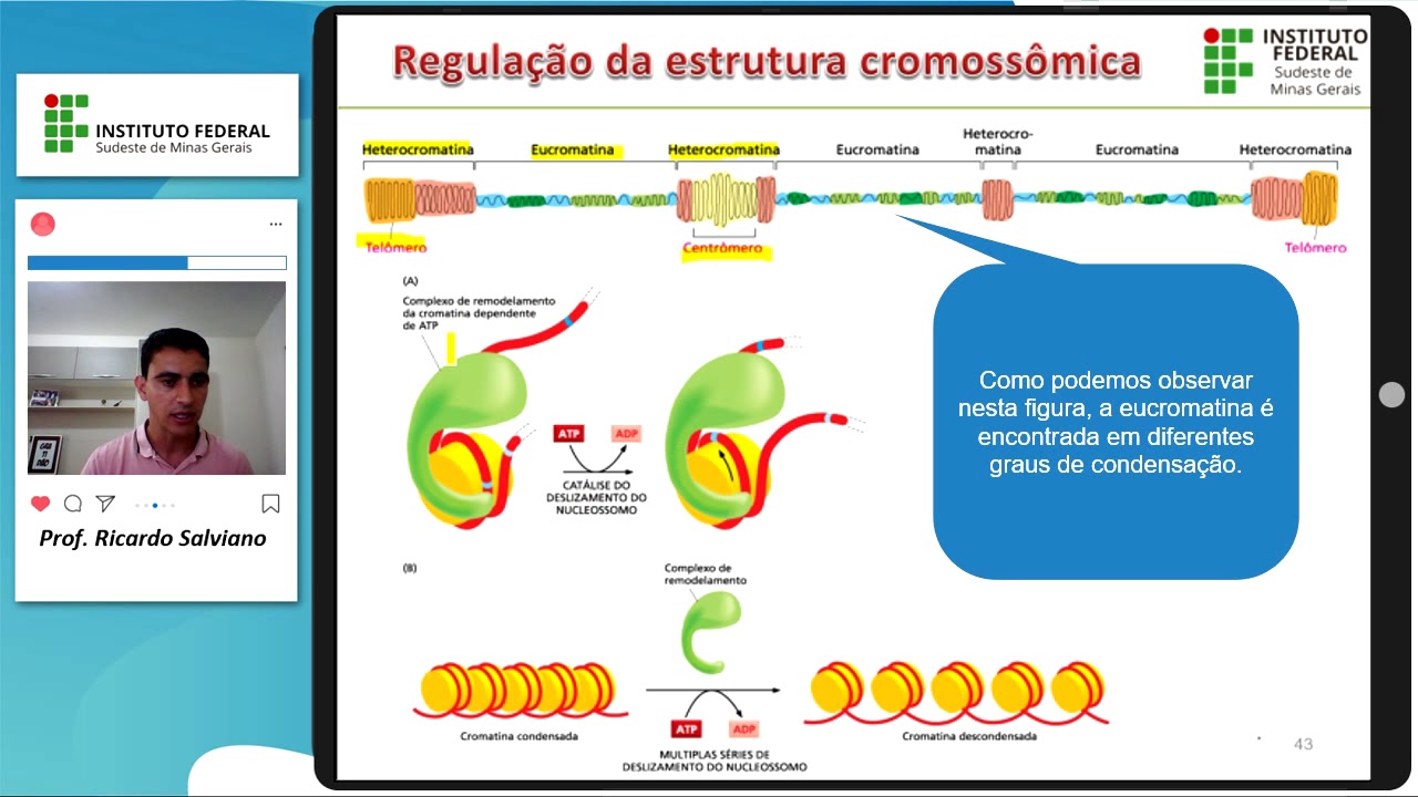 Introdução à Biologia Molecular # V - Estrutura dos cromossomos (nucleossomos)