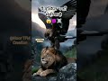 किसी का ऊंचा मुकाम देखकर 😱💯✅(@Noor TFM Creation)#motivation #viralmyvideo #trendingshorts #attitude