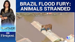 Animals Stranded as Floods Continue to Wreak Havoc Across Brazil | Vantage with Palki Sharma