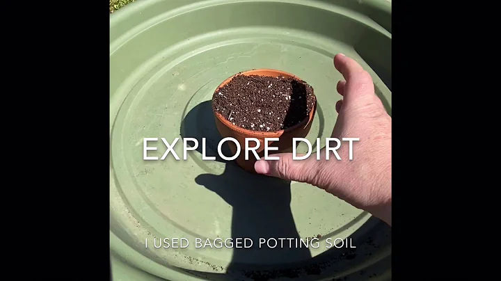 Backyard Soil