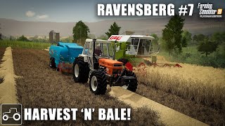 Buying A Harvester & Baler, Harvesting Barley & Canola, Ravensberg #7 Farming Simulator 19 Timelapse