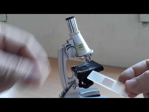 Vídeo: Què s'utilitza al microscopi electrònic?