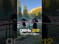 День 212. Тренировка 330 брусья.