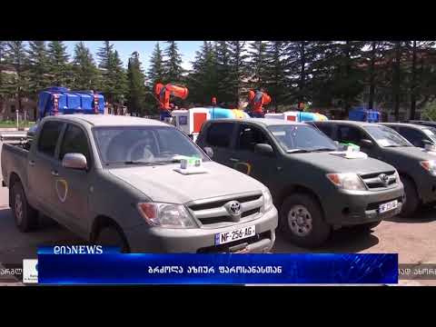 როგორ ებრძვიან აზიურ ფაროსანას იმერეთში 30.04.2018